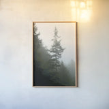 Majestic Pines I by Debra Van Swearingen. shown as a paper print in a natural frame. Available as a archival giclee rolled canvas, fine art paper, or poster print. SKU 77358h.