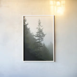 Majestic Pines I by Debra Van Swearingen. shown as a paper print in a white frame. Available as a archival giclee rolled canvas, fine art paper, or poster print. SKU 77358h.