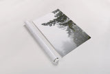 Majestic Pines II by Debra Van Swearingen. shown as a rolled paper print. Available as archival giclee rolled canvas, fine art paper, or poster print. SKU 77359h.