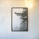 Majestic Pines II by Debra Van Swearingen. shown as a paper print in a black flame. Available as a archival giclee rolled canvas, fine art paper, or poster print. SKU 77359h.