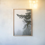 Majestic Pines II by Debra Van Swearingen. shown as a paper print in a natural frame. Available as a archival giclee rolled canvas, fine art paper, or poster print. SKU 77359h.