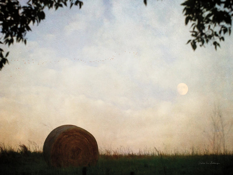 Migration Moon by Debra Van Swearingen