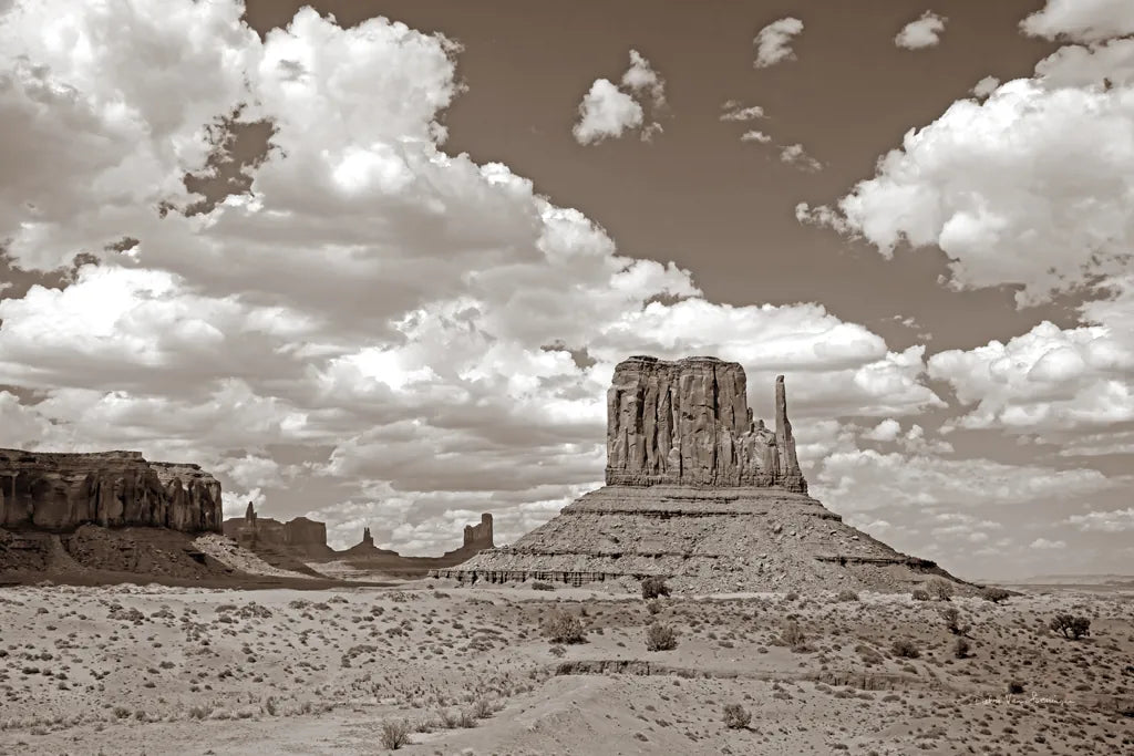 Monument Valley II Sepia by Debra Van Swearingen. SKU 81270i. Archival Giclee Fine art print for wall decor.
