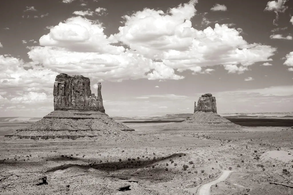Monument Valley IV Sepia by Debra Van Swearingen. SKU 81272i. Archival Giclee Fine art print for wall decor.