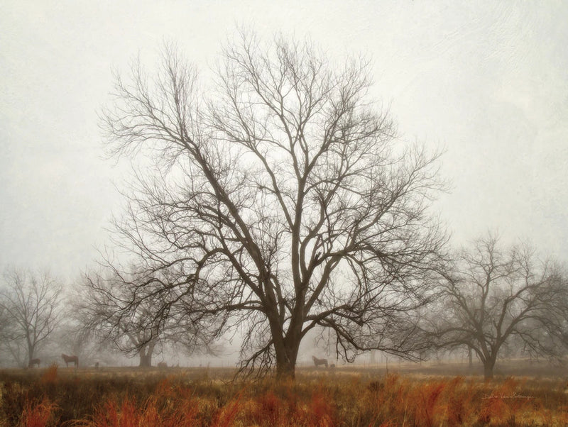 Morning Calm I by Debra Van Swearingen