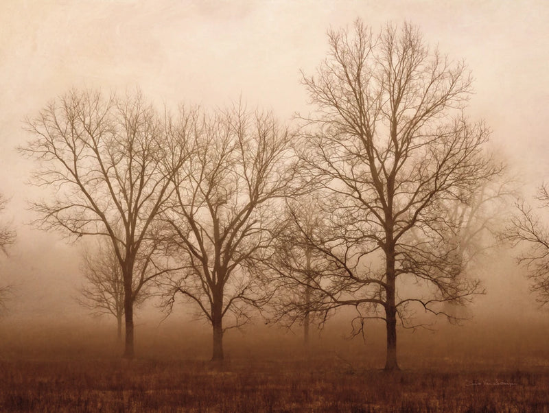 Morning Calm III by Debra Van Swearingen