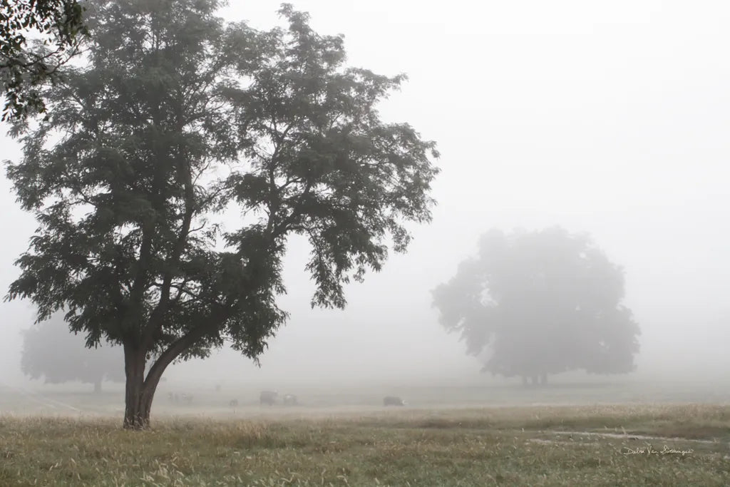 Morning Fog I by Debra Van Swearingen. SKU 81263i. Archival Giclee Fine art print for wall decor.