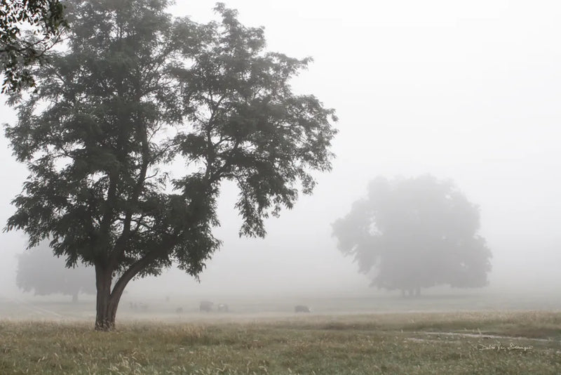 Morning Fog I by Debra Van Swearingen. SKU 81263i. Archival Giclee Fine art print for wall decor.