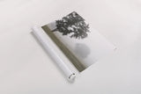 Morning Fog I by Debra Van Swearingen. shown as a rolled paper print. Available as archival giclee rolled canvas, fine art paper, or poster print. SKU 81263i.
