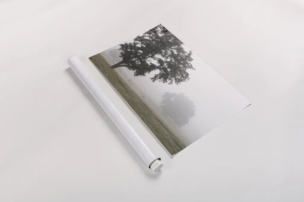 Morning Fog I by Debra Van Swearingen. shown as a rolled paper print. Available as archival giclee rolled canvas, fine art paper, or poster print. SKU 81263i.