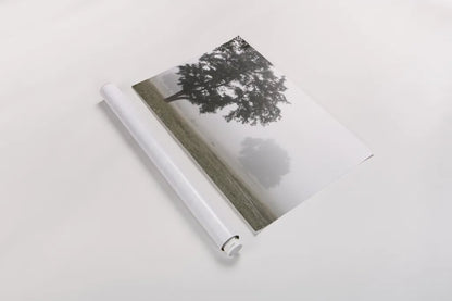 Morning Fog I by Debra Van Swearingen. shown as a rolled paper print. Available as archival giclee rolled canvas, fine art paper, or poster print. SKU 81263i.