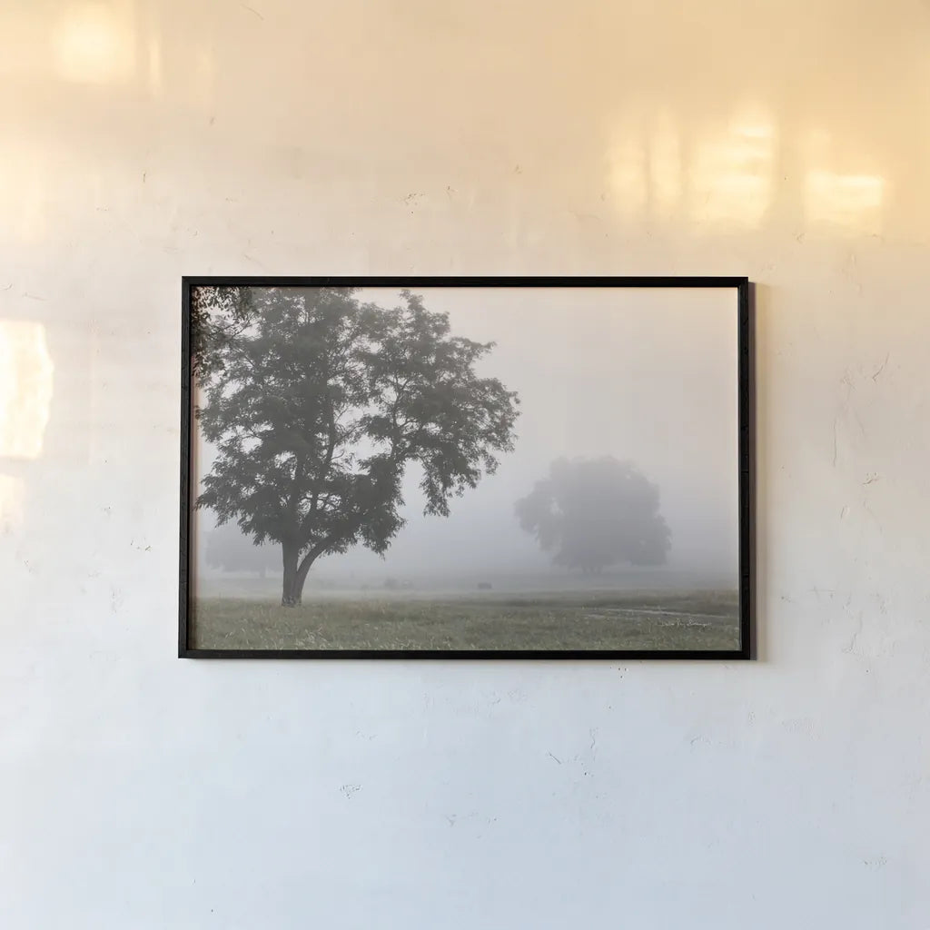 Morning Fog I by Debra Van Swearingen. shown as a paper print in a black flame. Available as a archival giclee rolled canvas, fine art paper, or poster print. SKU 81263i.