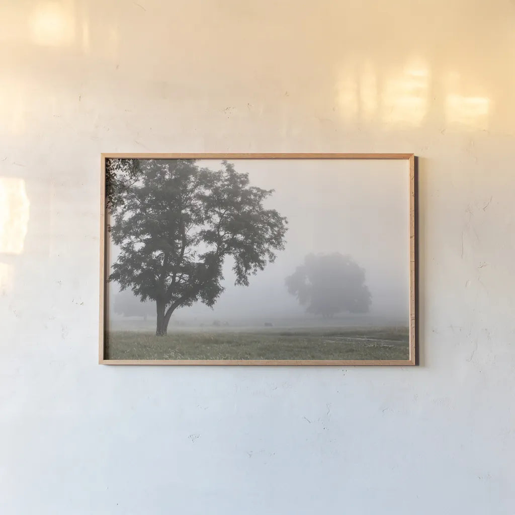 Morning Fog I by Debra Van Swearingen. shown as a paper print in a natural frame. Available as a archival giclee rolled canvas, fine art paper, or poster print. SKU 81263i.