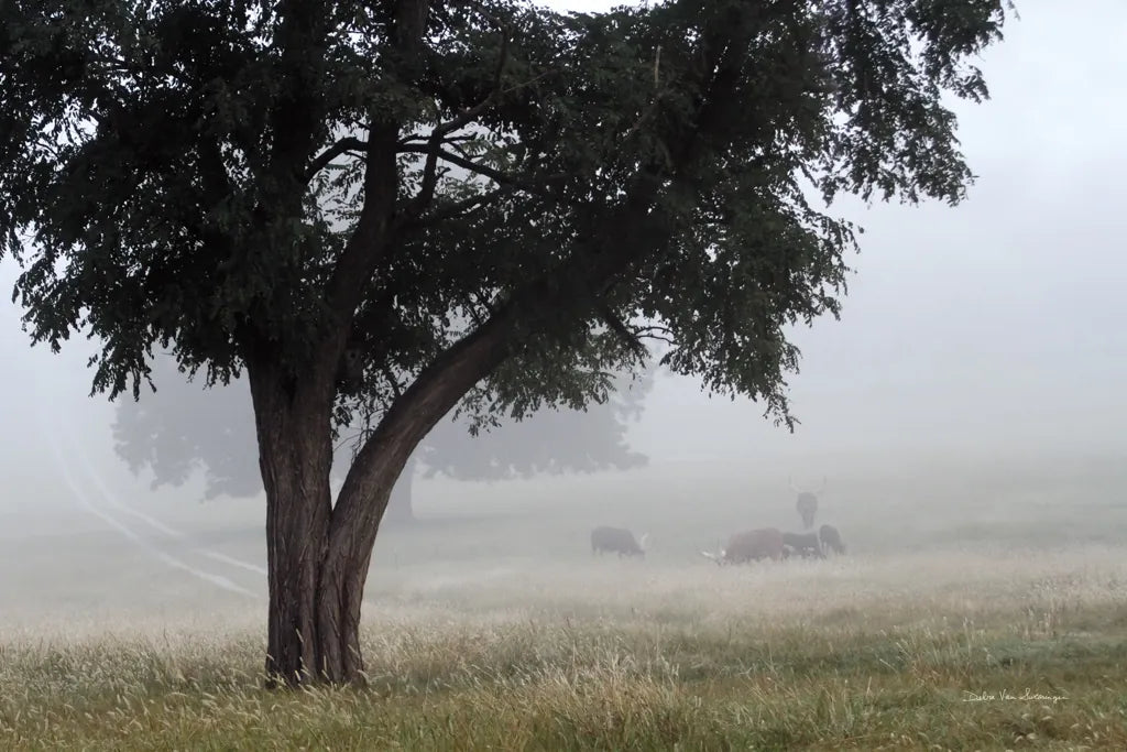 Morning Fog II by Debra Van Swearingen. SKU 81264i. Archival Giclee Fine art print for wall decor.