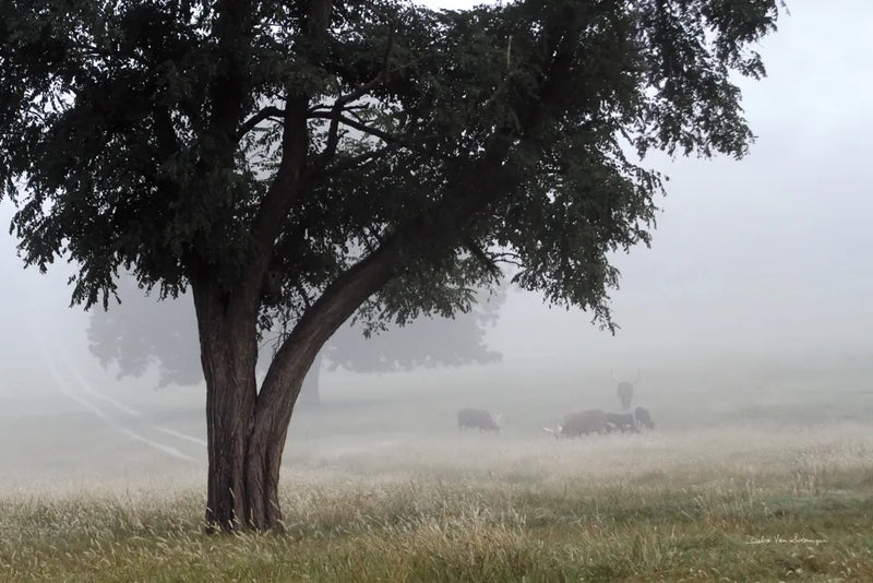 Morning Fog II by Debra Van Swearingen. SKU 81264i. Archival Giclee Fine art print for wall decor.