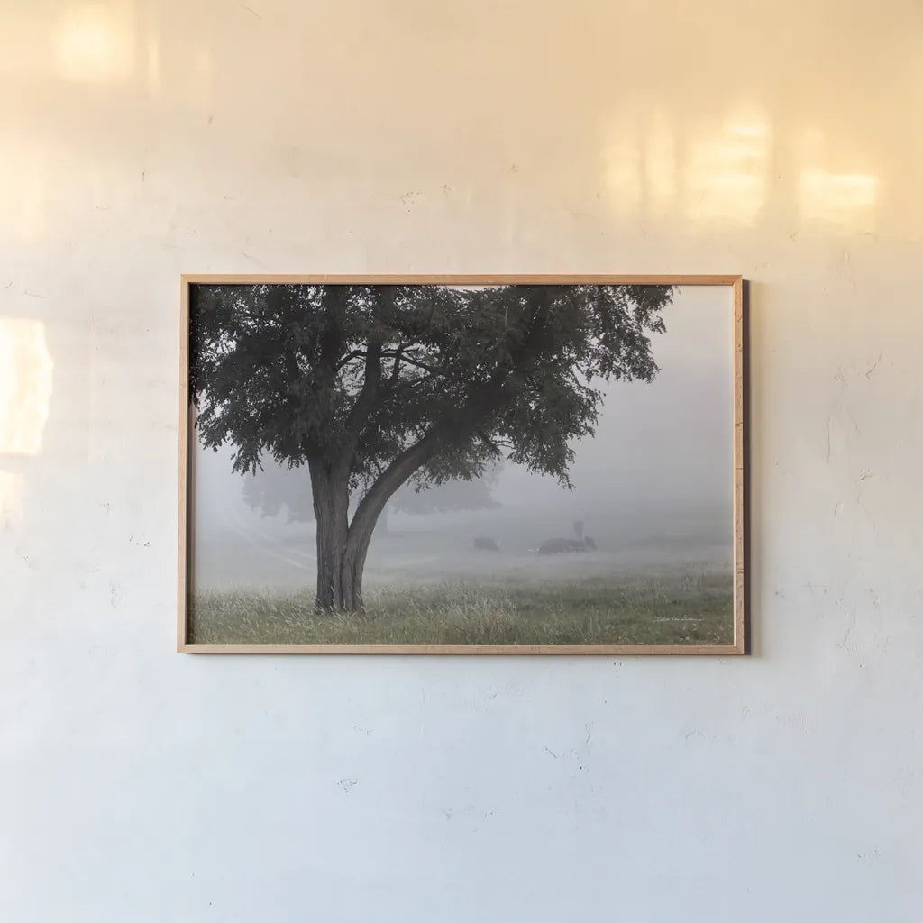 Morning Fog II by Debra Van Swearingen. shown as a paper print in a natural frame. Available as a archival giclee rolled canvas, fine art paper, or poster print. SKU 81264i.