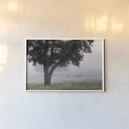 Morning Fog II by Debra Van Swearingen. shown as a paper print in a white frame. Available as a archival giclee rolled canvas, fine art paper, or poster print. SKU 81264i.