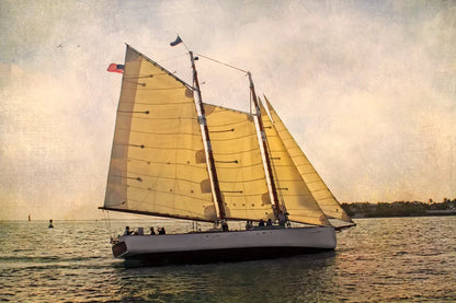 Morning Sail by Debra Van Swearingen. SKU 47842i. Archival Giclee Fine art print for wall decor.