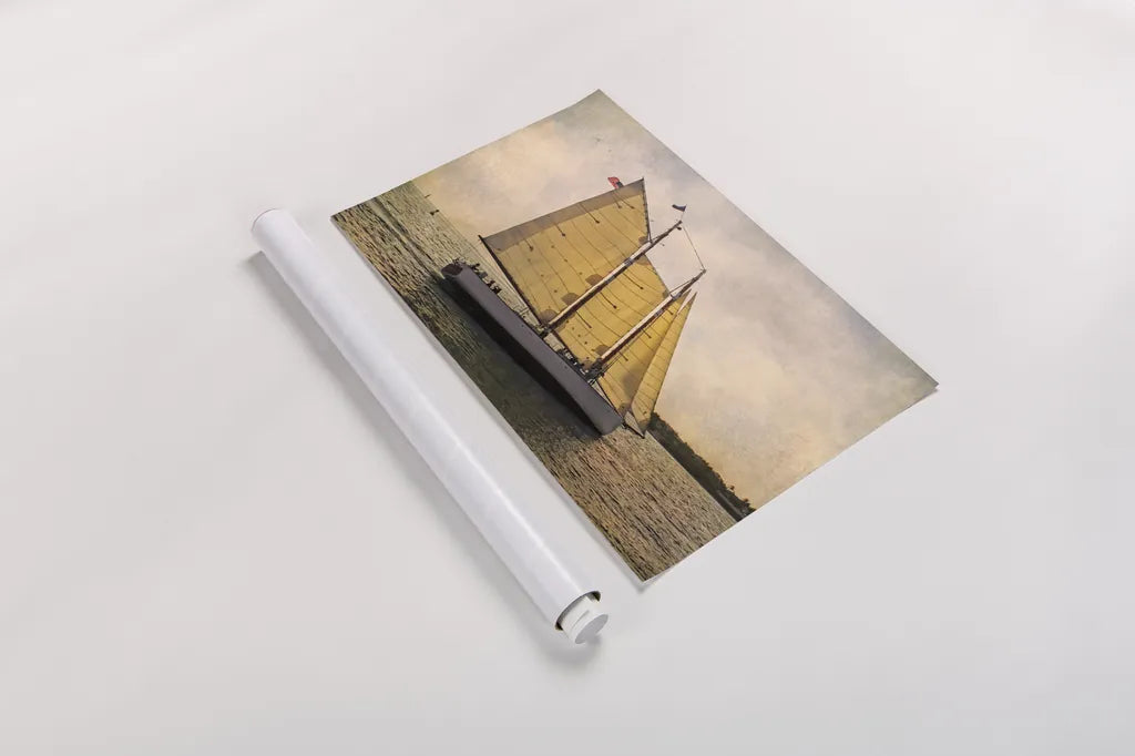 Morning Sail by Debra Van Swearingen. shown as a rolled paper print. Available as archival giclee rolled canvas, fine art paper, or poster print. SKU 47842i.