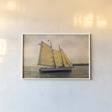 Morning Sail by Debra Van Swearingen. shown as a paper print in a white frame. Available as a archival giclee rolled canvas, fine art paper, or poster print. SKU 47842i.