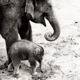 Mother and Daughter by Debra Van Swearingen. SKU 52699a. Archival Giclee Fine art print for wall decor.