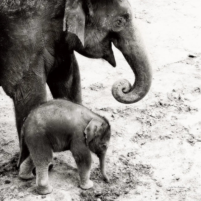 Mother and Daughter by Debra Van Swearingen. SKU 52699a. Archival Giclee Fine art print for wall decor.