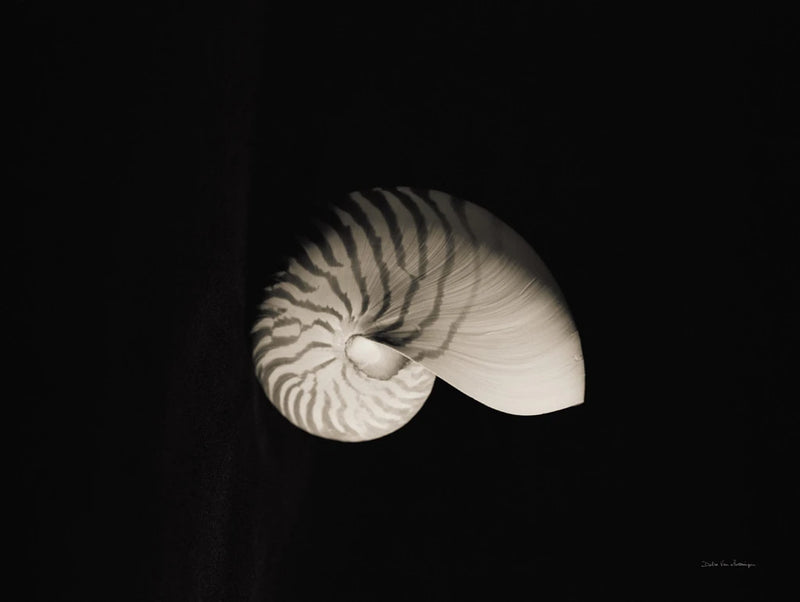Nautilus I by Debra Van Swearingen