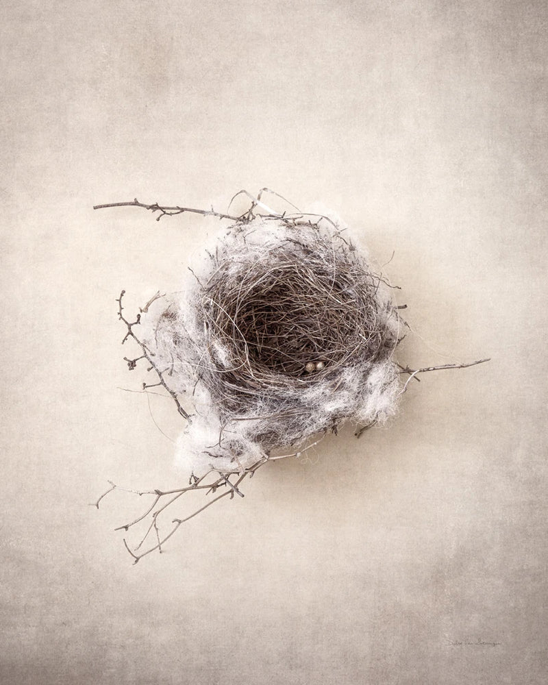 Nest III by Debra Van Swearingen