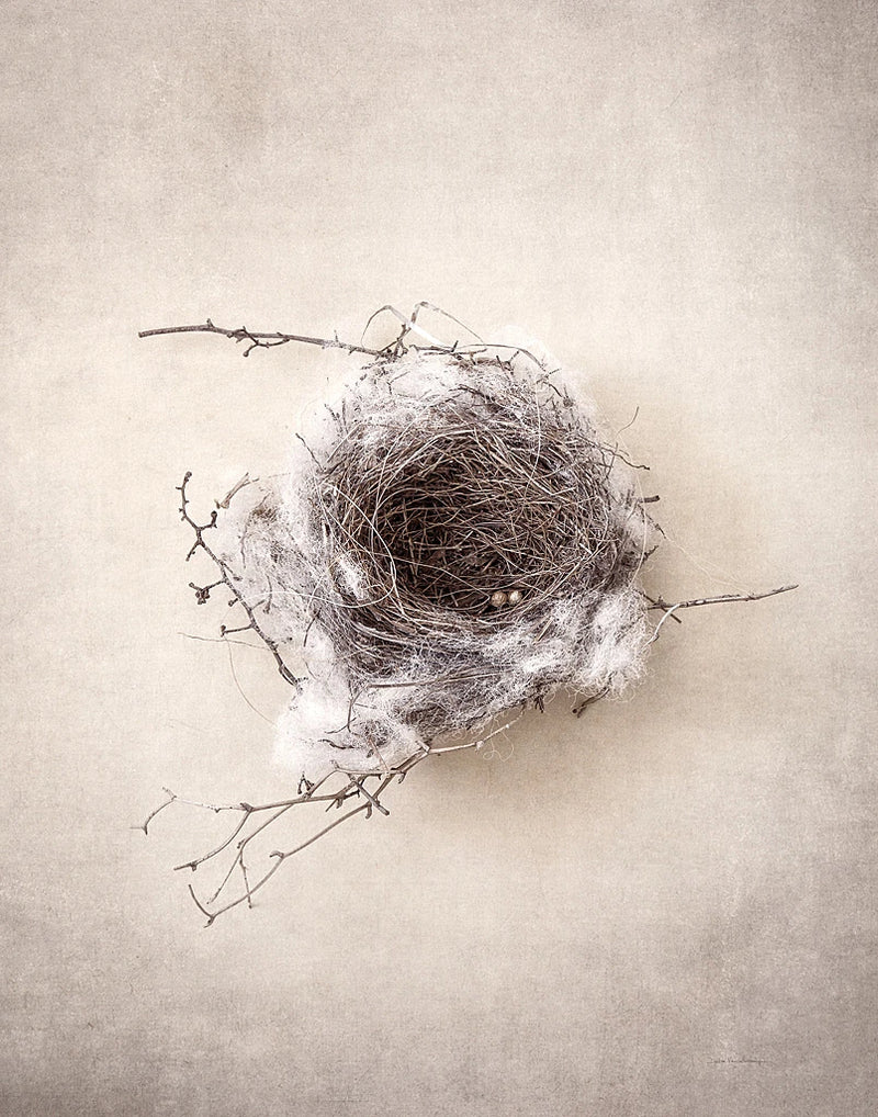Nest III by Debra Van Swearingen