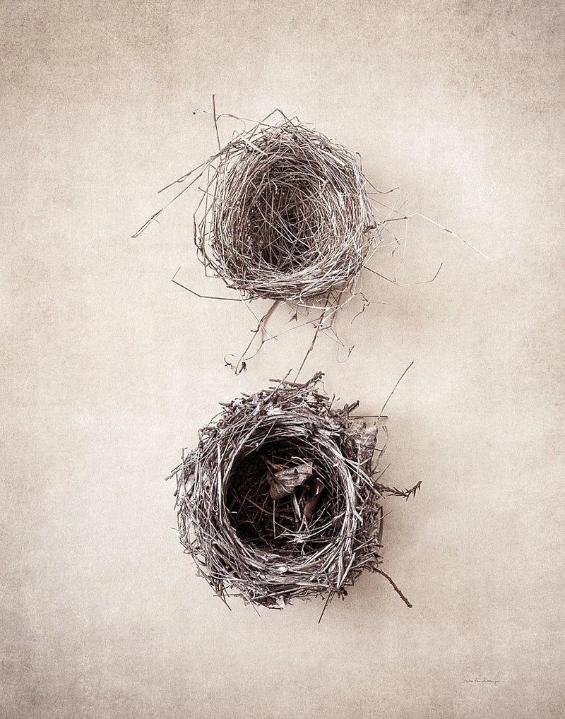 Nest IV by Debra Van Swearingen