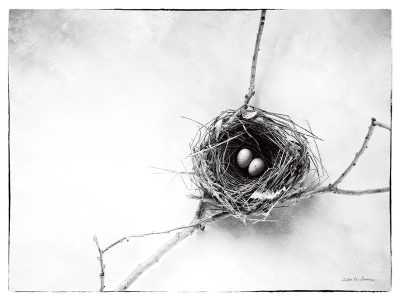 Nest and Branch IV by Debra Van Swearingen
