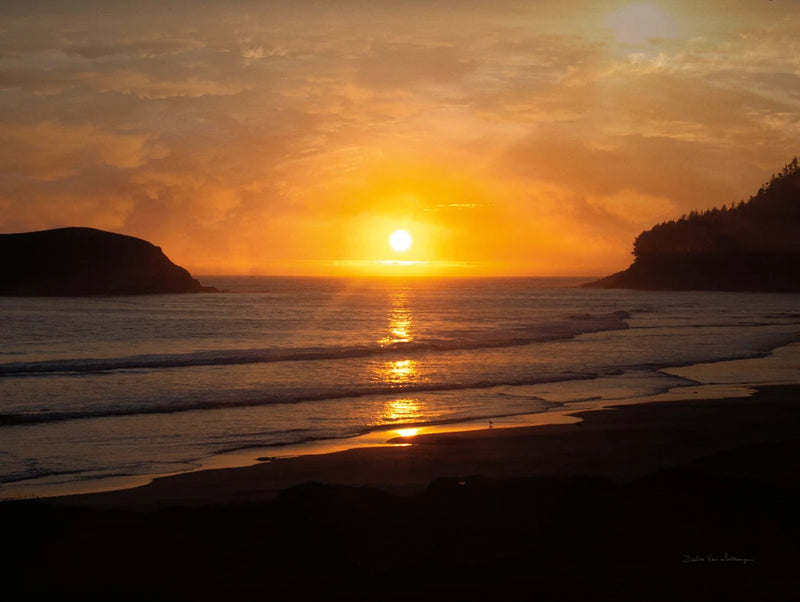 Ocean Sunset by Debra Van Swearingen
