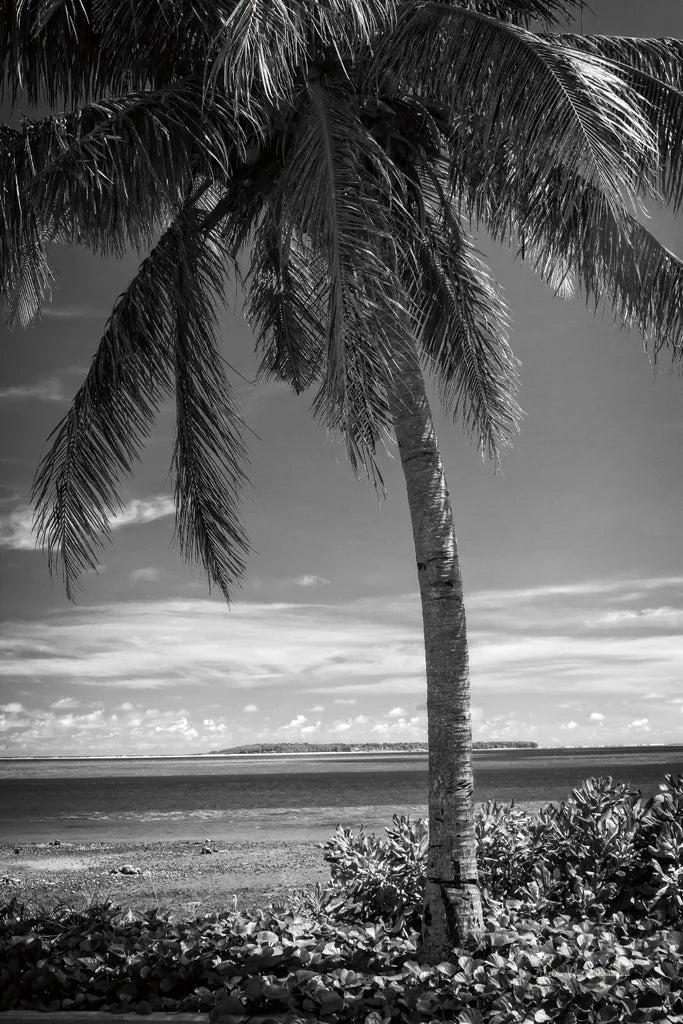 Ocean View by Debra Van Swearingen. SKU 42498h. Archival Giclee Fine art print for wall decor.