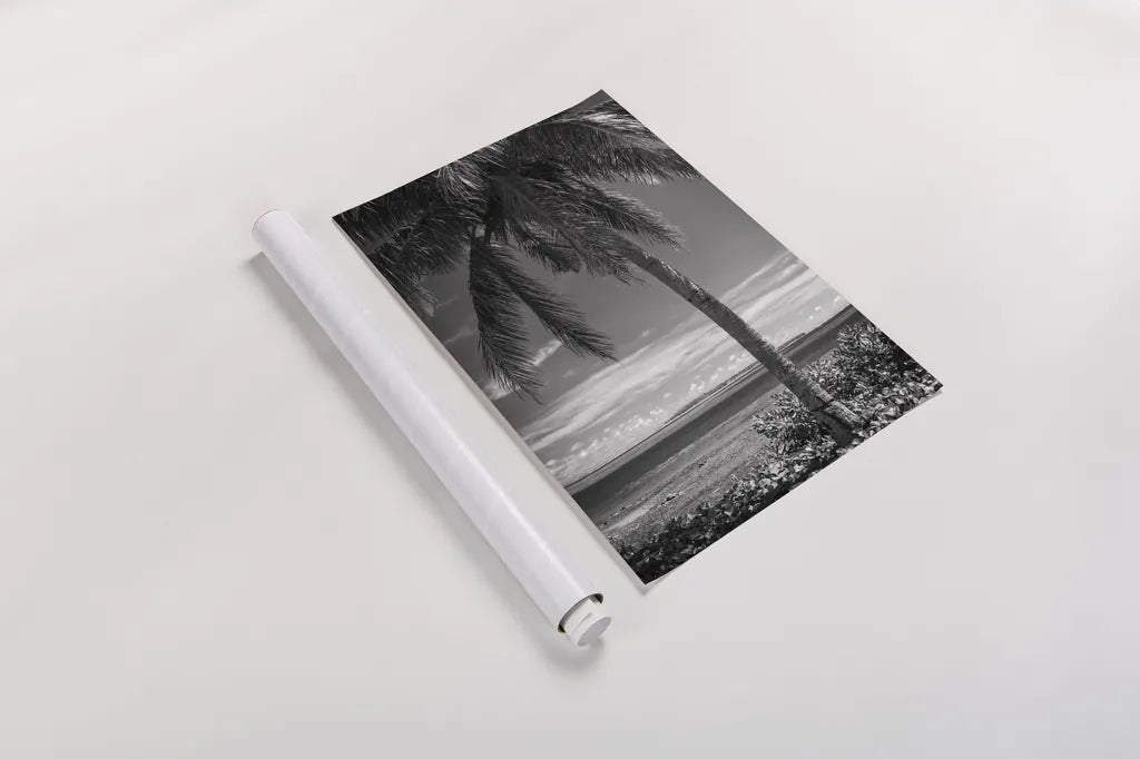 Ocean View by Debra Van Swearingen. shown as a rolled paper print. Available as archival giclee rolled canvas, fine art paper, or poster print. SKU 42498h.