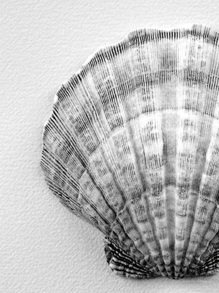 On the Half Shell Crop by Debra Van Swearingen