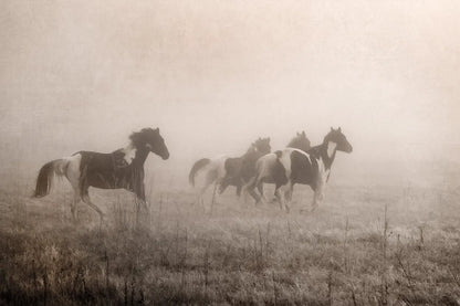 Paint Horses on the Run by Debra Van Swearingen. SKU 59412i. Archival Giclee Fine art print for wall decor.