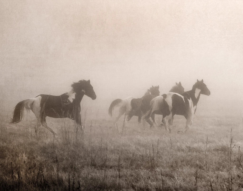 Painted Horses on the Run Crop by Debra Van Swearingen