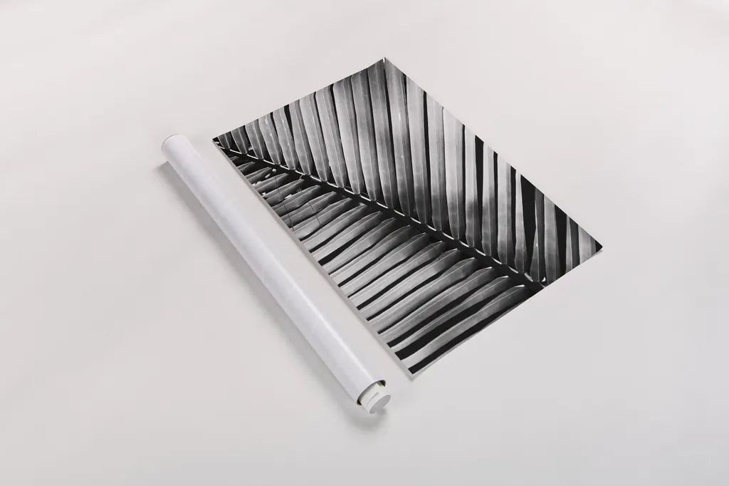 Palm Frond I by Debra Van Swearingen. shown as a rolled paper print. Available as archival giclee rolled canvas, fine art paper, or poster print. SKU 42488h.