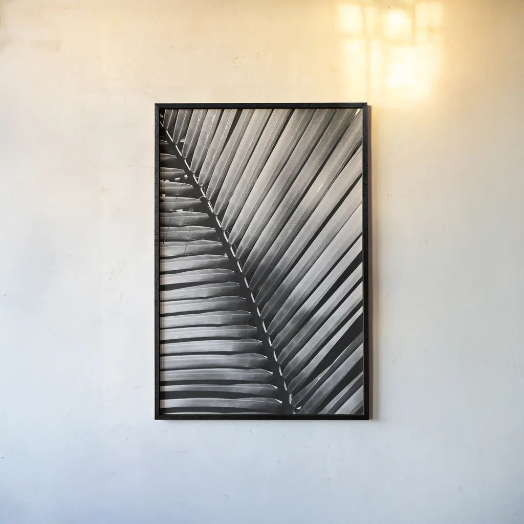 Palm Frond I by Debra Van Swearingen. shown as a paper print in a black flame. Available as a archival giclee rolled canvas, fine art paper, or poster print. SKU 42488h.