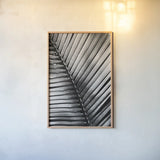Palm Frond I by Debra Van Swearingen. shown as a paper print in a natural frame. Available as a archival giclee rolled canvas, fine art paper, or poster print. SKU 42488h.