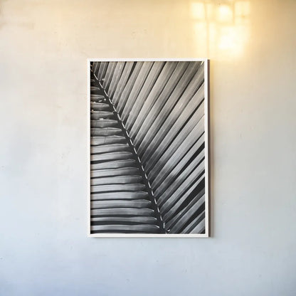 Palm Frond I by Debra Van Swearingen. shown as a paper print in a white frame. Available as a archival giclee rolled canvas, fine art paper, or poster print. SKU 42488h.
