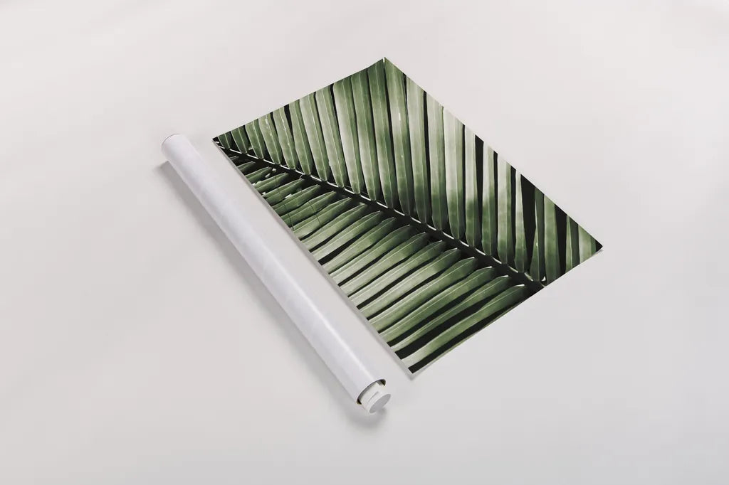 Palm Frond I Green by Debra Van Swearingen. shown as a rolled paper print. Available as archival giclee rolled canvas, fine art paper, or poster print. SKU 66128h.