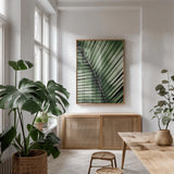 Palm Frond I Green by Debra Van Swearingen. shown as a print in a natural wood frame in a dining room. Available as a archival giclee rolled canvas, fine art paper, or poster print. SKU 66128h.