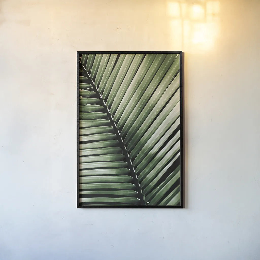 Palm Frond I Green by Debra Van Swearingen. shown as a paper print in a black flame. Available as a archival giclee rolled canvas, fine art paper, or poster print. SKU 66128h.