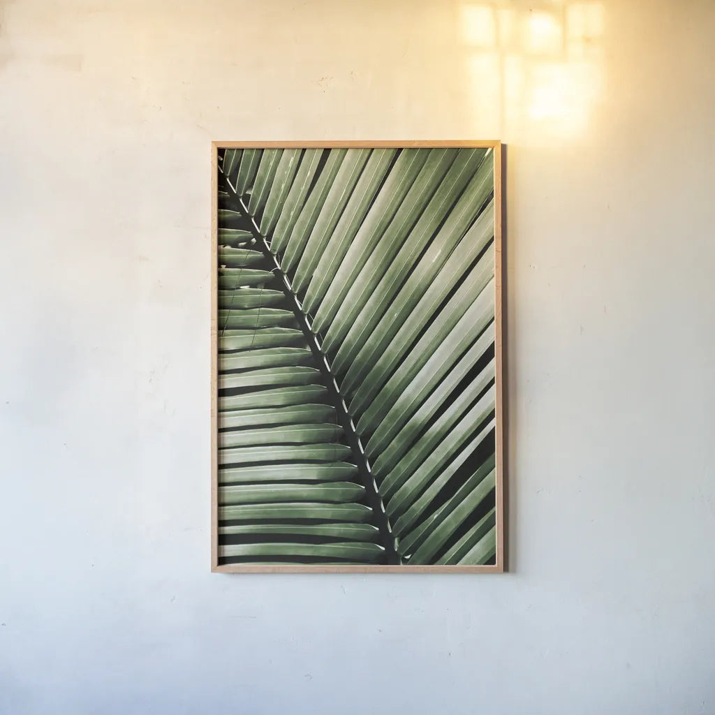 Palm Frond I Green by Debra Van Swearingen. shown as a paper print in a natural frame. Available as a archival giclee rolled canvas, fine art paper, or poster print. SKU 66128h.