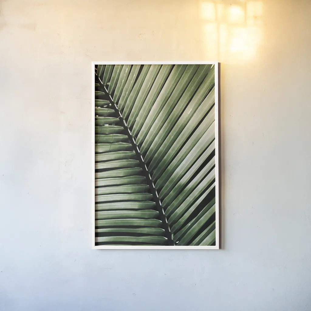 Palm Frond I Green by Debra Van Swearingen. shown as a paper print in a white frame. Available as a archival giclee rolled canvas, fine art paper, or poster print. SKU 66128h.