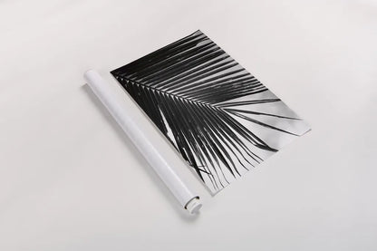 Palm Frond II by Debra Van Swearingen. shown as a rolled paper print. Available as archival giclee rolled canvas, fine art paper, or poster print. SKU 42489h.