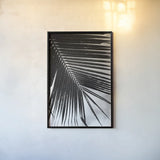 Palm Frond II by Debra Van Swearingen. shown as a paper print in a black flame. Available as a archival giclee rolled canvas, fine art paper, or poster print. SKU 42489h.