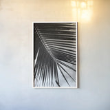 Palm Frond II by Debra Van Swearingen. shown as a paper print in a white frame. Available as a archival giclee rolled canvas, fine art paper, or poster print. SKU 42489h.