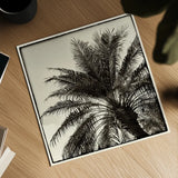 Palm Tree Sepia I by Debra Van Swearingen. Shown as a detailed flat fine art print, highlighting archival giclee quality. Available as an archival giclee rolled canvas, fine art paper, or poster print. SKU 42499a.